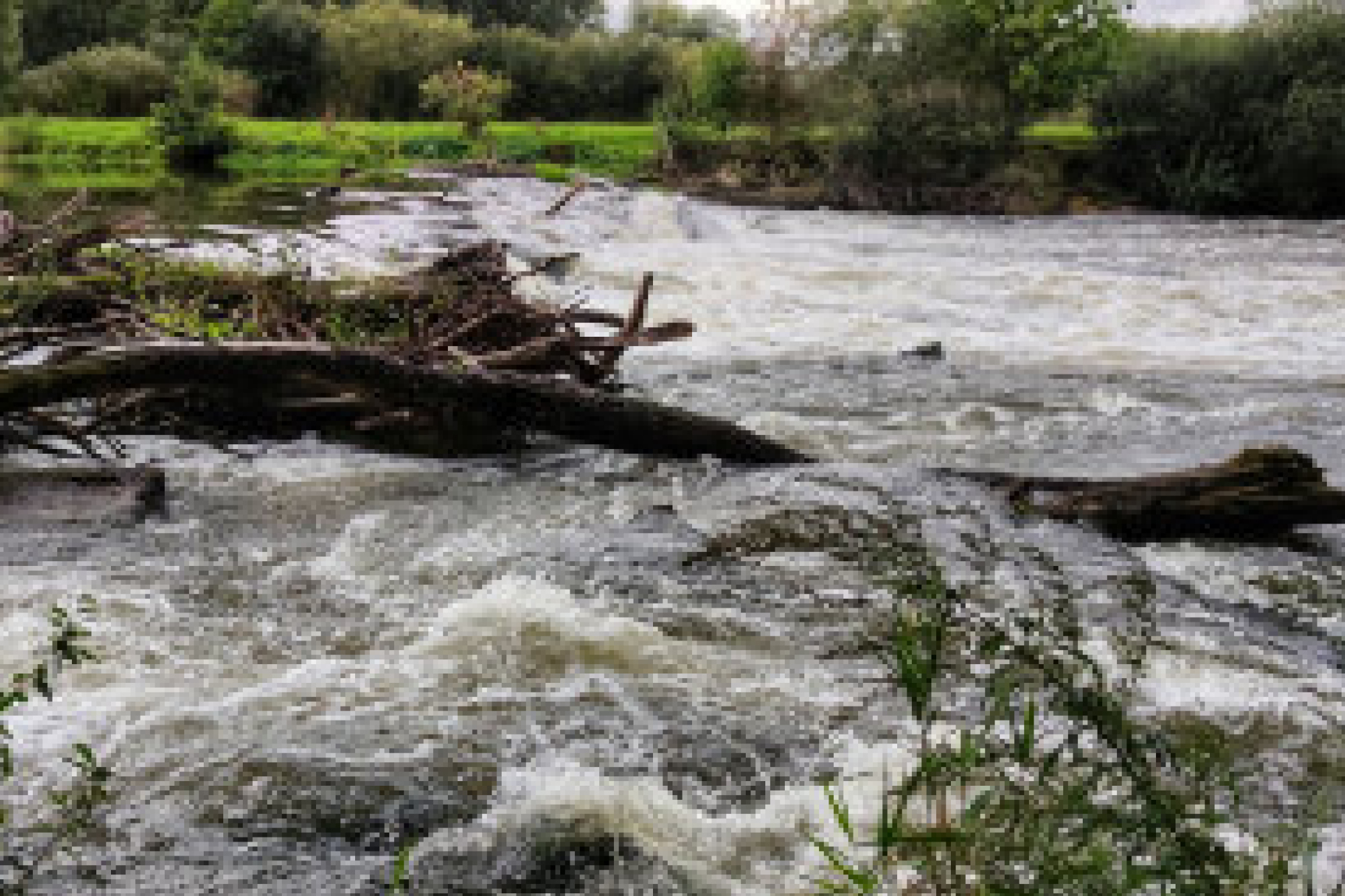 floods-thumb.jpg